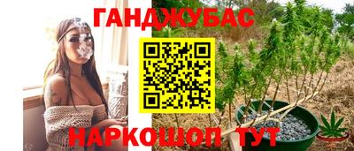 молекула духа Надым