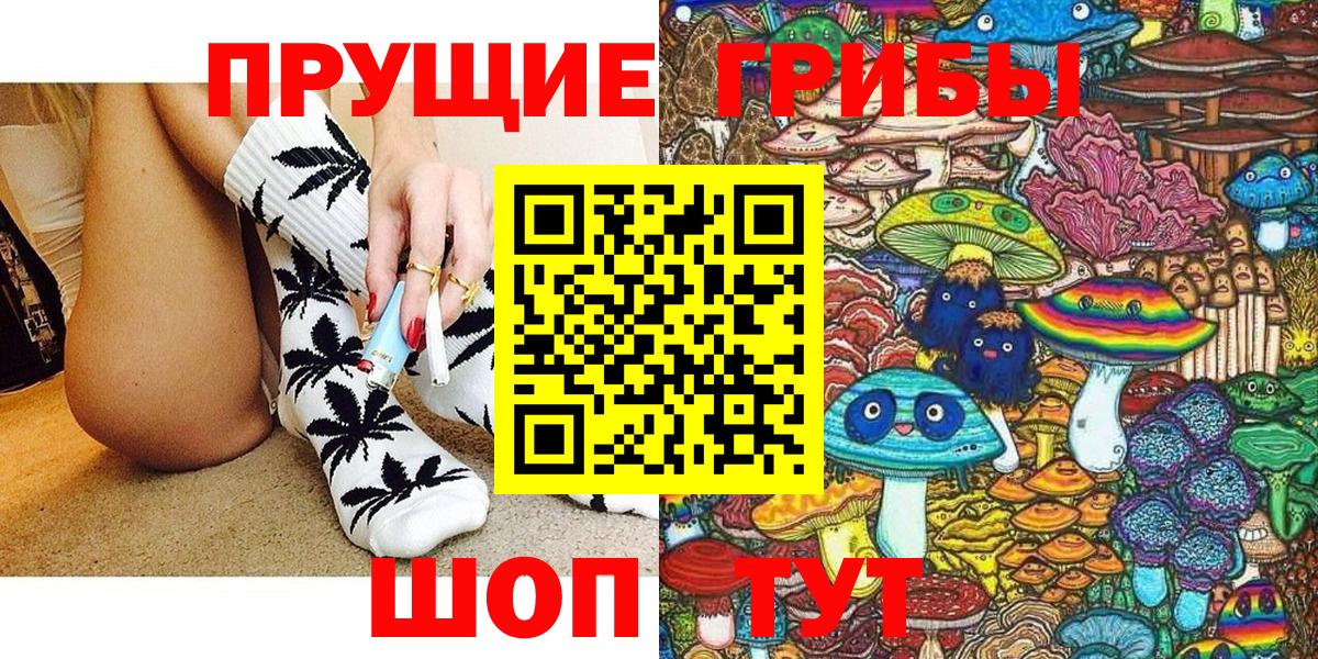 Псилоцибиновые грибы Psilocybine cubensis Дербент