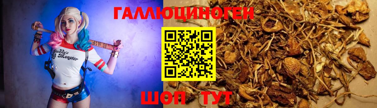 Дербент  цены   Вход с VPN  Галлюциногенные грибы мухоморы  Галлюциногенные грибы Psilocybine cubensis 